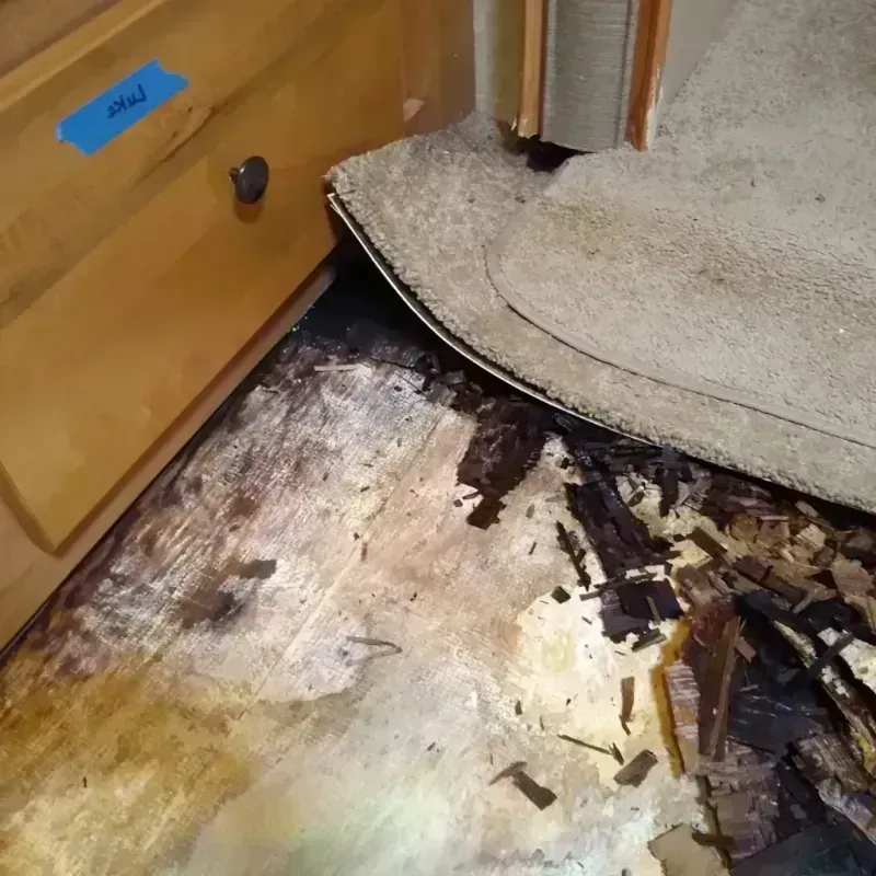 Wood Floor Water Damage in Creve Coeur, IL